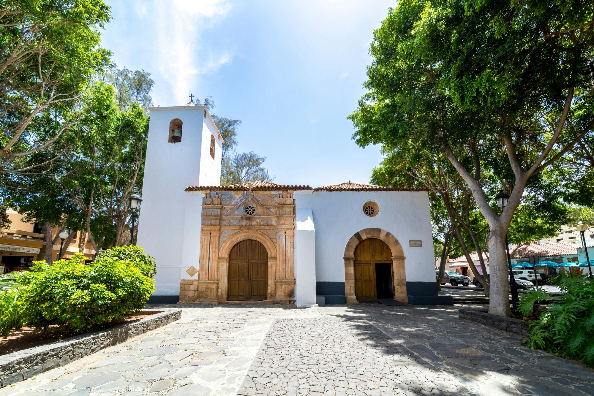 Fuerteventura island tour with goat farm visit