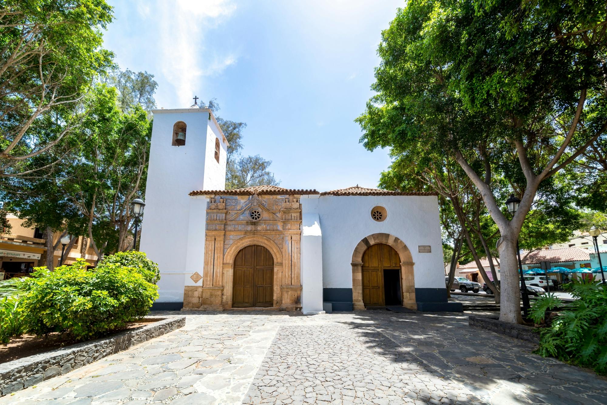 Fuerteventura island tour with goat farm visit