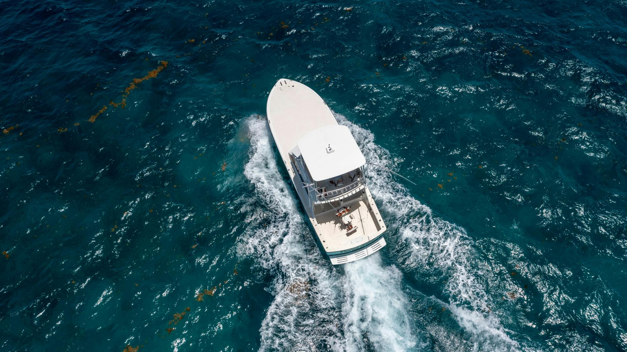 Cancun fishing trip with drinks and ceviche