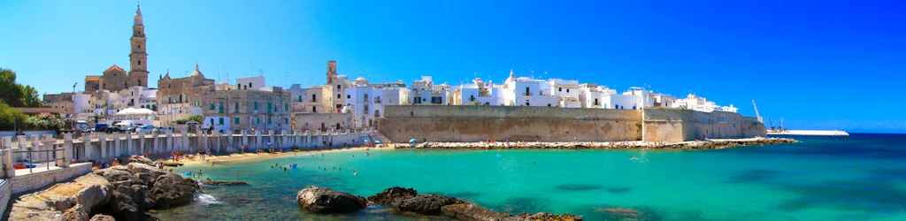 Monopoli