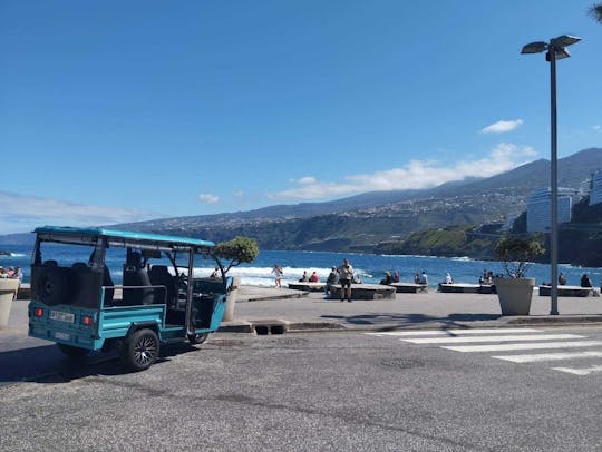 Three-hour tuk tuk tour in Puerto de la Cruz and La Orotava