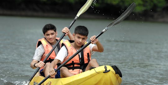 Tour in kayak sul fiume delle mangrovie di Langkawi