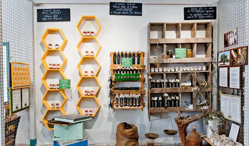Half-day Paphos Old Town walking tour with local produce tasting