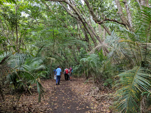 Jozani Forest and home cooking with the Zanzibari Mamas private tour