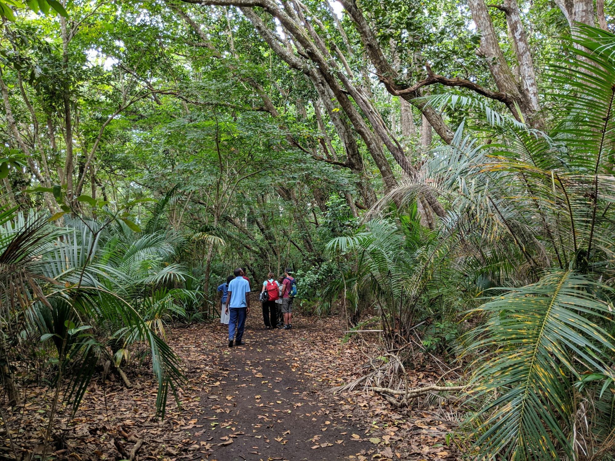 Jozani Forest and home cooking with the Zanzibari Mamas private tour