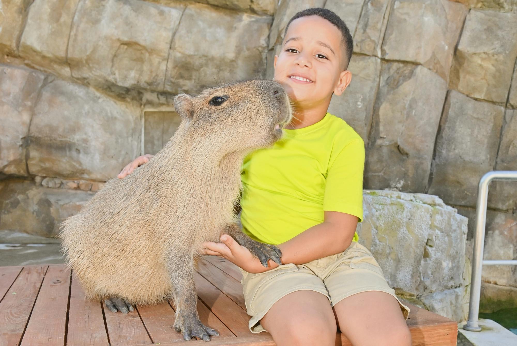Capybara encounter and Ocean World day pass with lunch