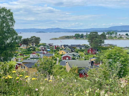 Excursión por las islas del fiordo de Oslo
