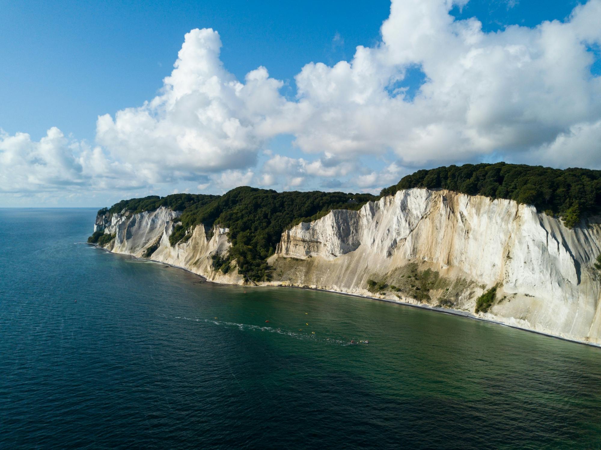 Excursión de día completo a Møns Klint y la Torre del Bosque desde Copenhague