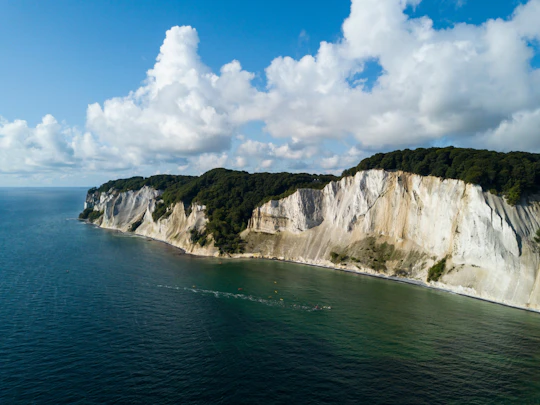 Møns Klint and Forest Tower full-day experience from Copenhagen