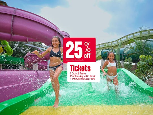Caribe Aquatic Park overdag en PortAventura Park 's nachts 1-daagse combo