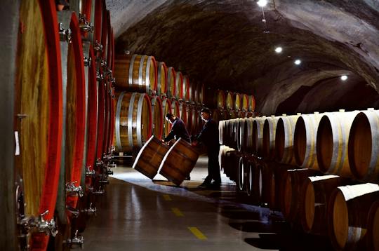 Šipčanik Wine Cellar tour with tasting and transfer from Podgorica