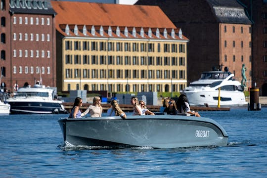 Autobús turístico de Copenhague con paradas libres y crucero guiado por el puerto