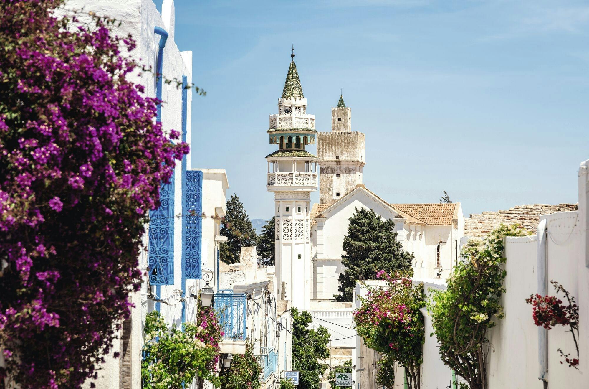 Guided tour of Tunisian Atlas Mountain villages from Hammamet