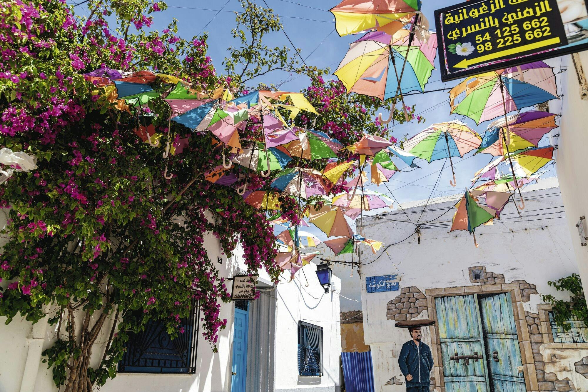 Guided tour of Tunisian Atlas Mountain villages from Hammamet