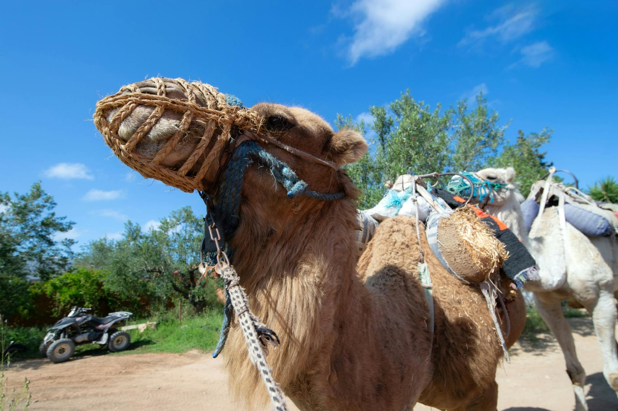 Tunisia off-road quad and caravan safari from Sousse
