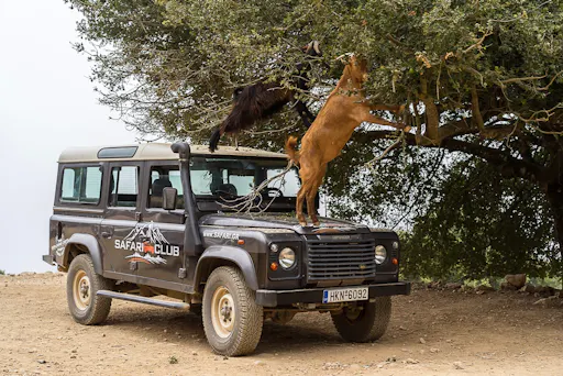 Southern Crete 4x4 tour with Sarakina Gorge visit