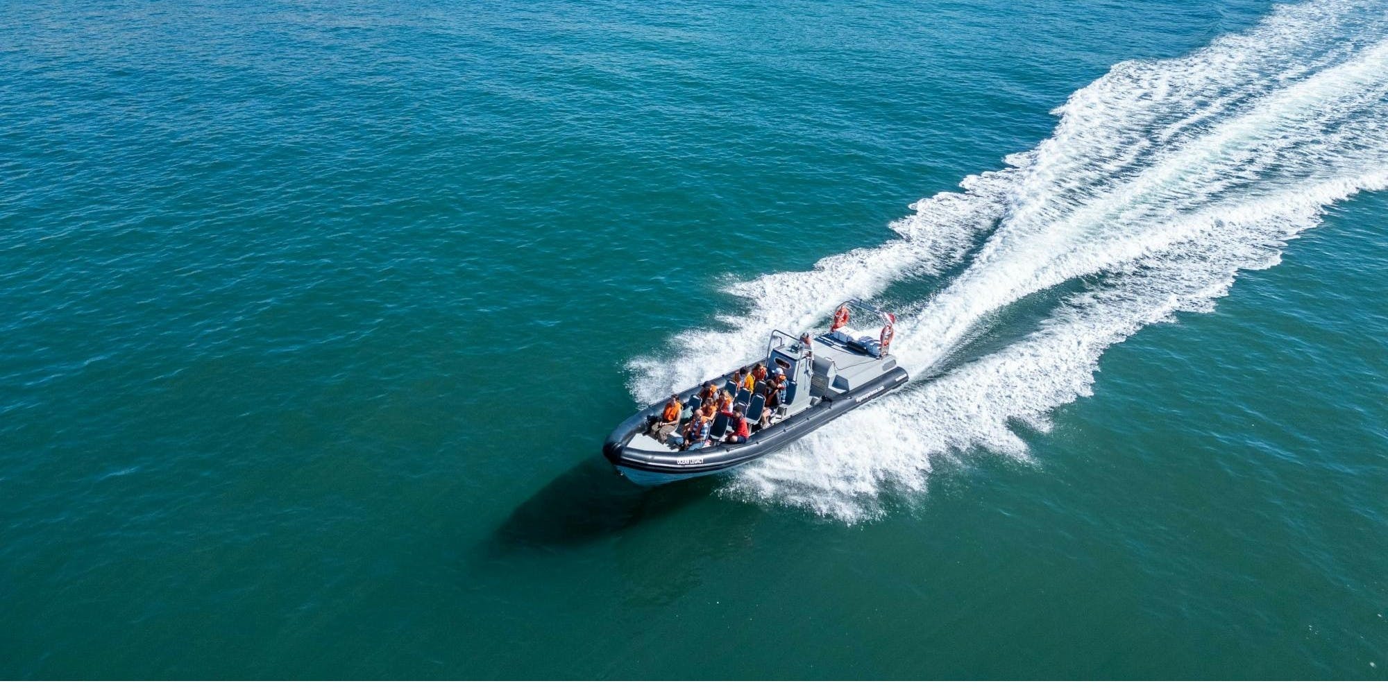 Albufeira dolphins and Benagil caves RIB boat tour