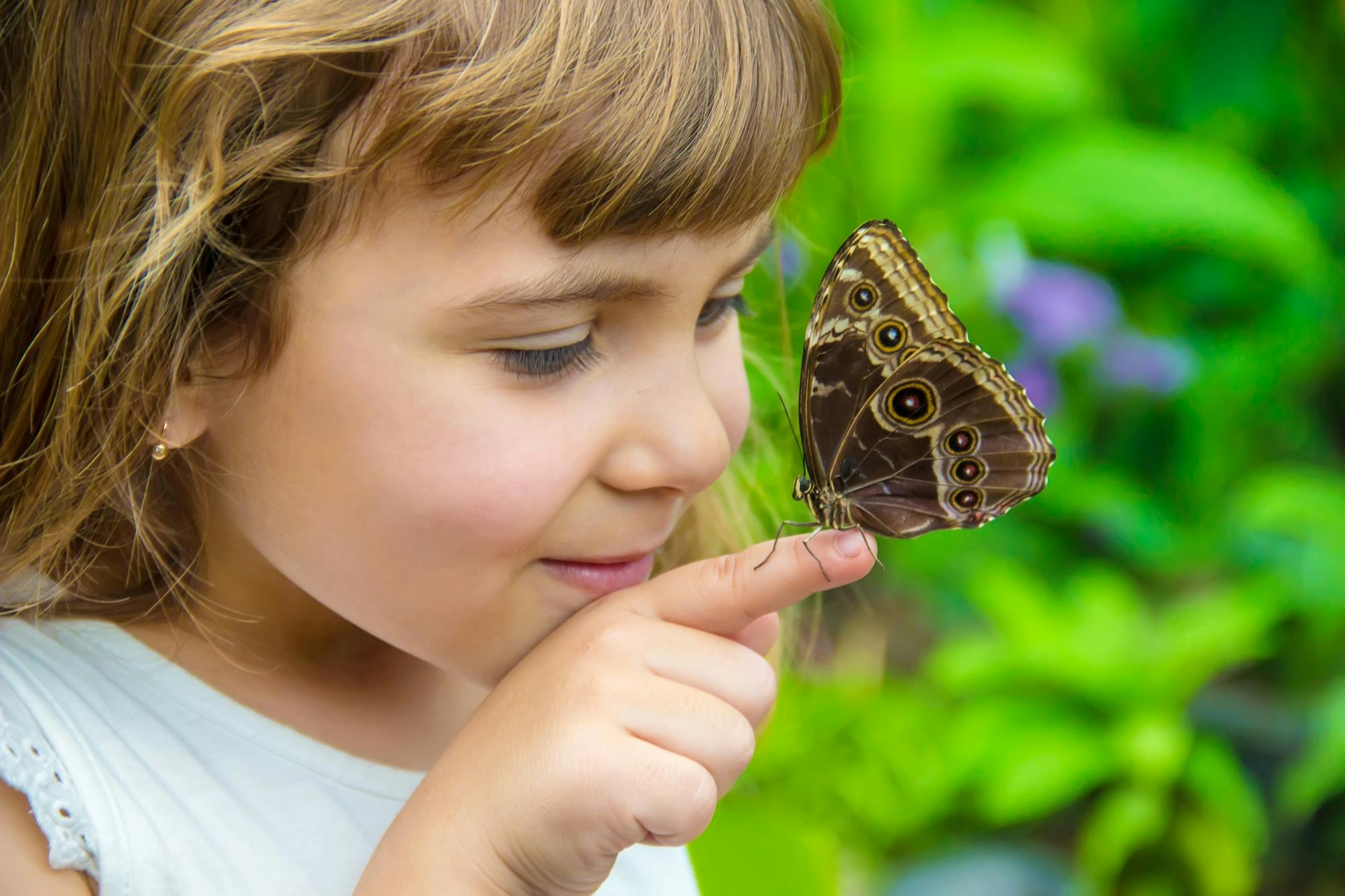 Journée à Antalya : Butterfly World et Aquarium avec transferts
