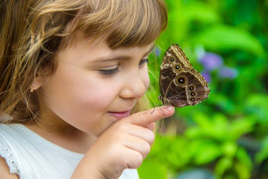 Journée à Antalya : Butterfly World et Aquarium avec transferts