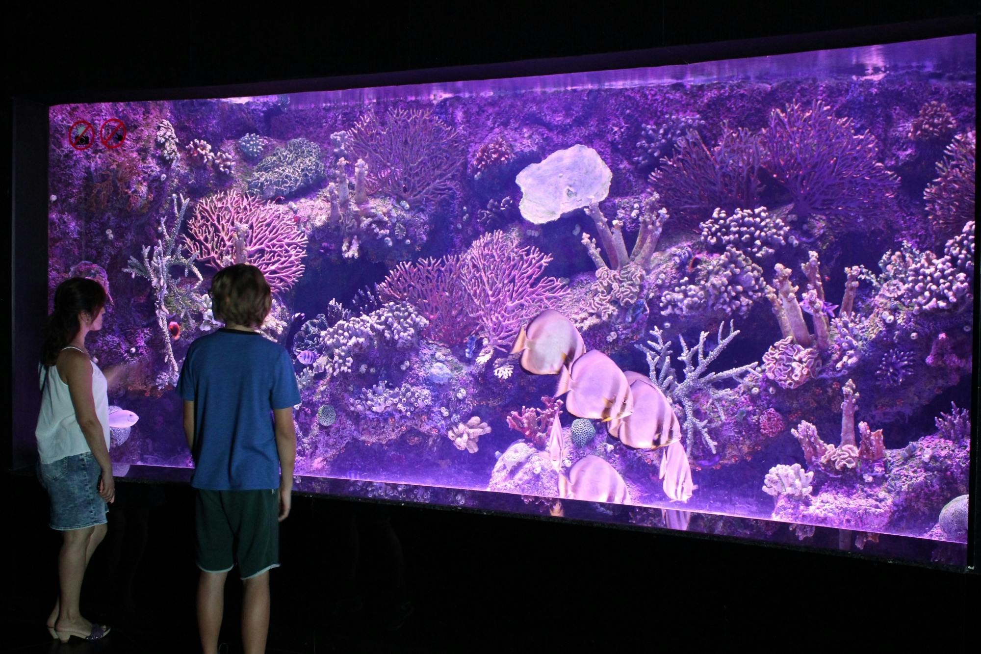 Antalya Butterfly World and Aquarium day out with transfers