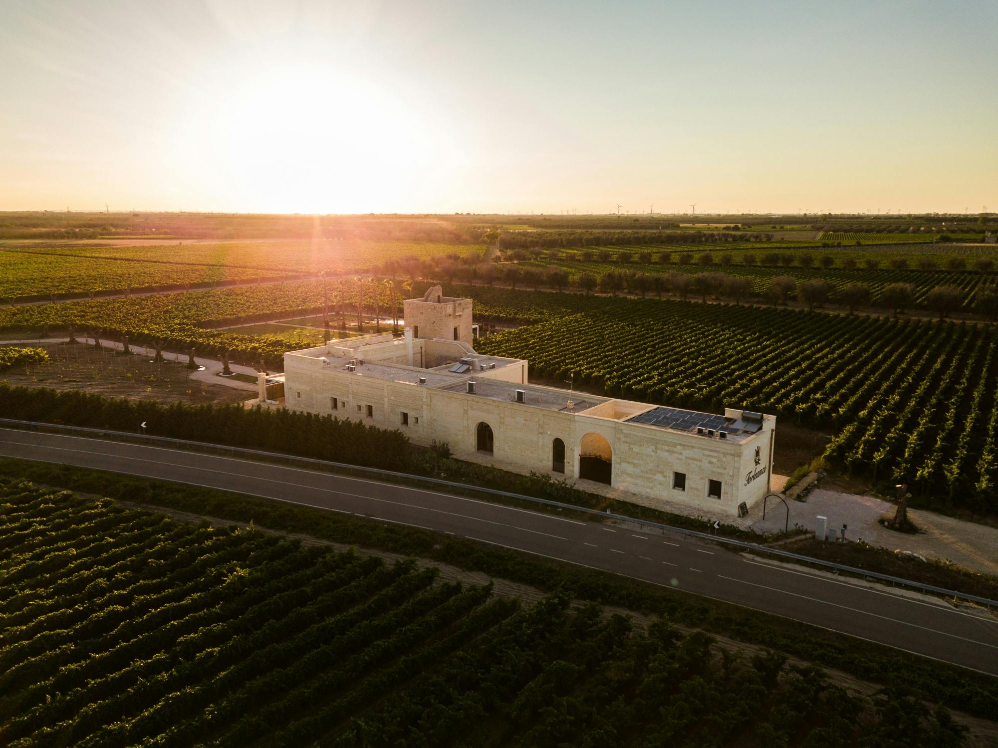 Visita guiada y cata de tres vinos en Masseria Torleanzi