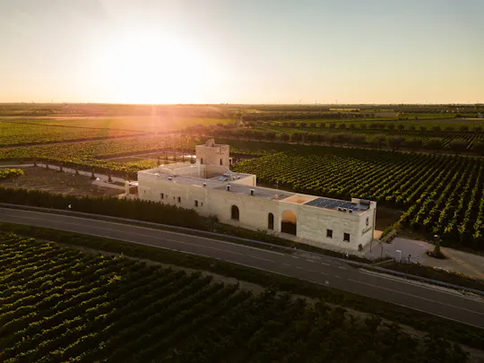 Guided tour and tasting of three wines at Masseria Torleanzi