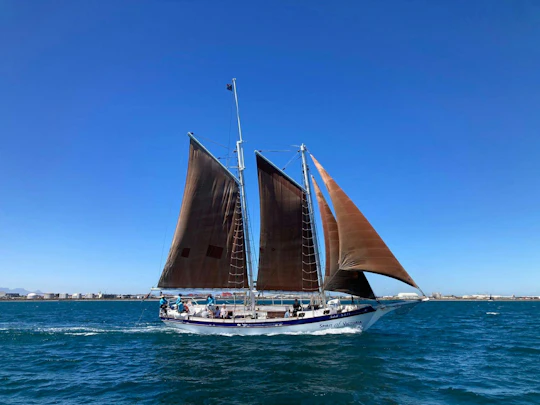 1-hour cruise and lunch experience at Spyced Restaurant in Cape Town