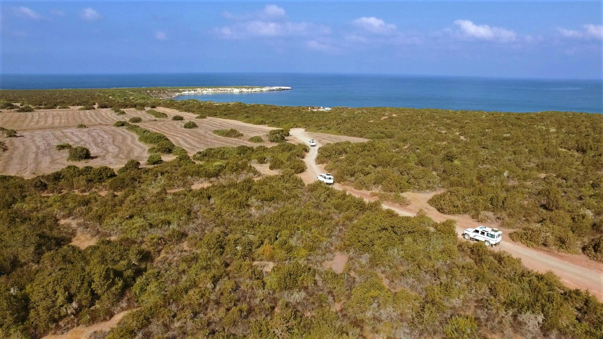 Blue Lagoon, gorge and beach tour by boat and 4x4 in Akamas with lunch