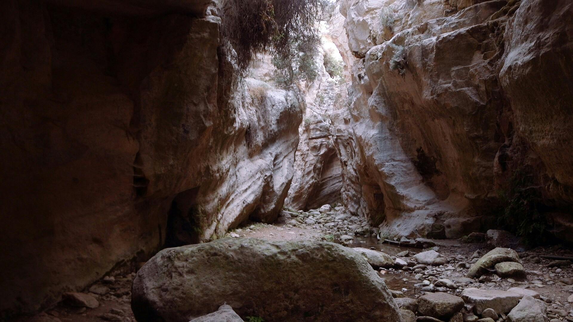 Blue Lagoon, gorge and beach tour by boat and 4x4 in Akamas with lunch