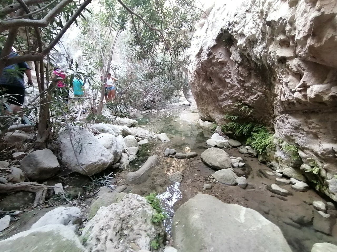 Blue Lagoon, gorge and beach tour by boat and 4x4 in Akamas with lunch