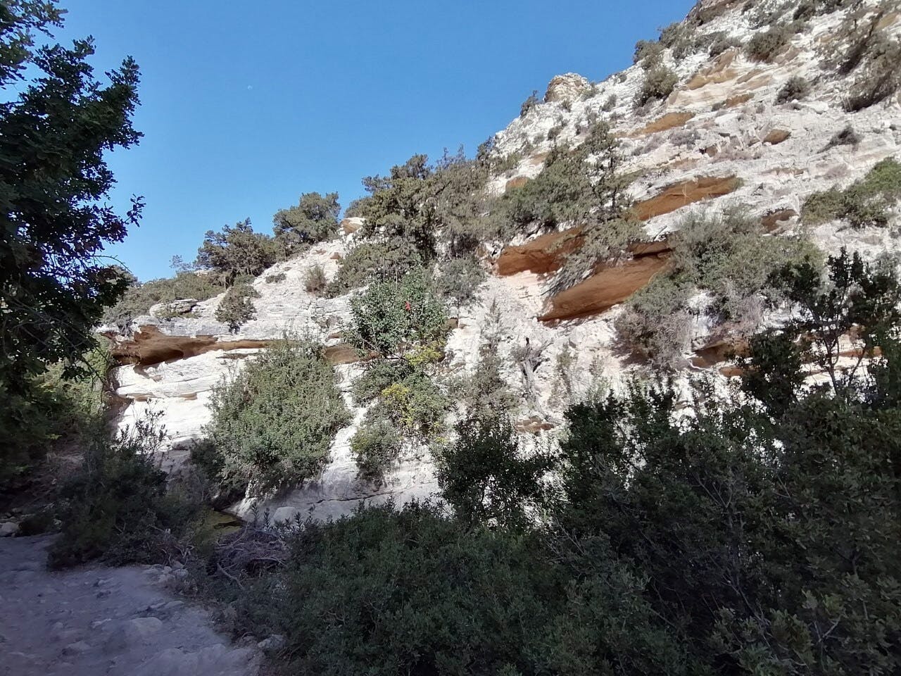 Blue Lagoon, gorge and beach tour by boat and 4x4 in Akamas with lunch