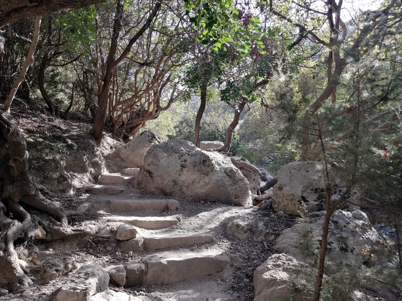 Blue Lagoon, gorge and beach tour by boat and 4x4 in Akamas with lunch