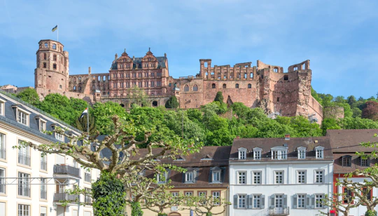 Heidelberg city tour with castle, funicular, and Philosopher's Walk