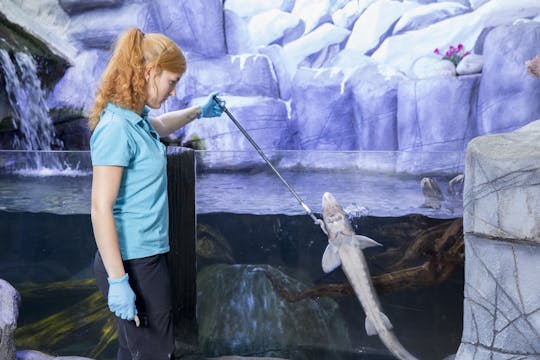 Entradas para SEA LIFE Oberhausen con visita guiada entre bastidores