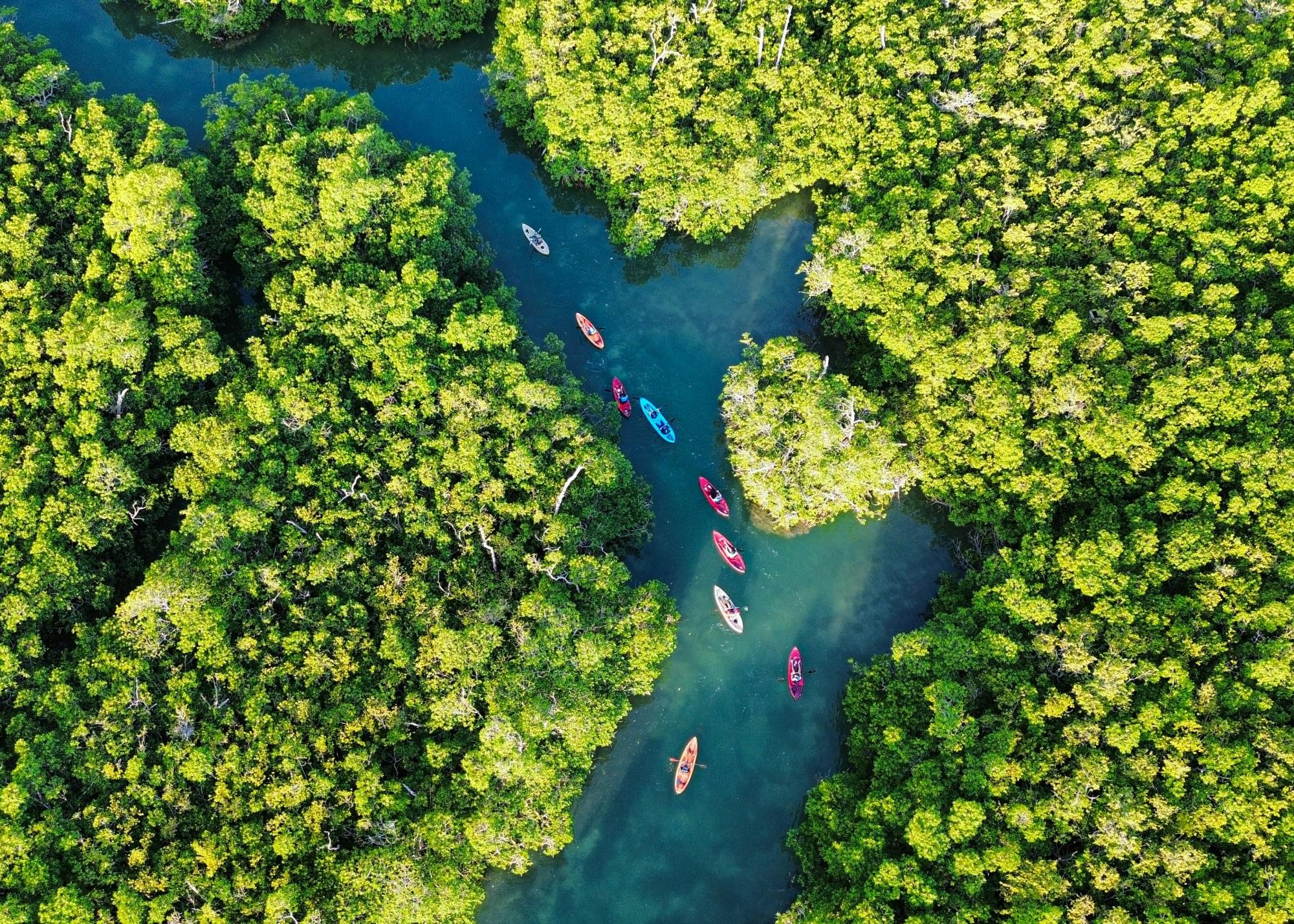 Cancun Nichupté Lagoon morning kayak experience