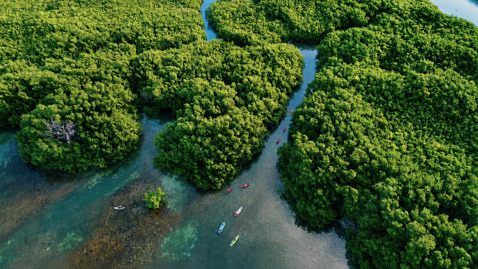202608066a74ba2a0d559.png