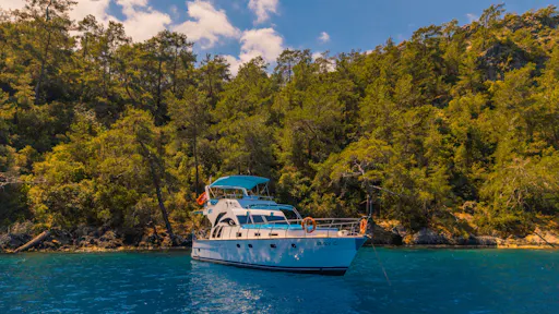 Three-hour VIP yacht cruise from Fethiye