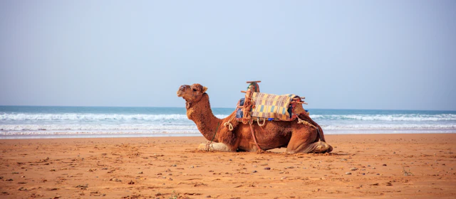 Saidia, Morocco