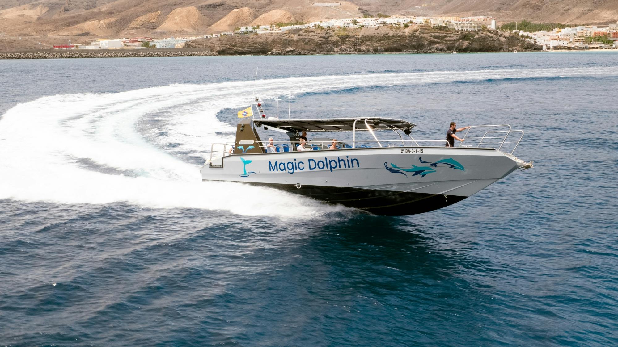 Jandia dolphin-watching cruise