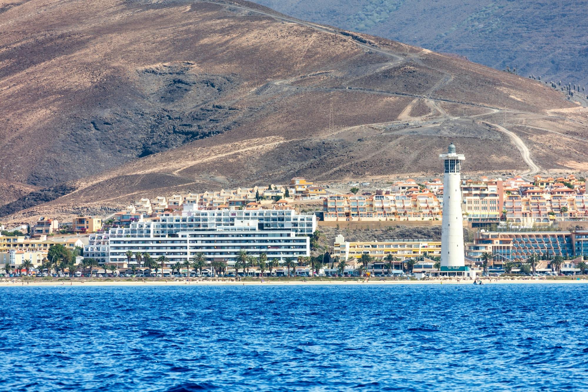 Jandia dolphin-watching cruise