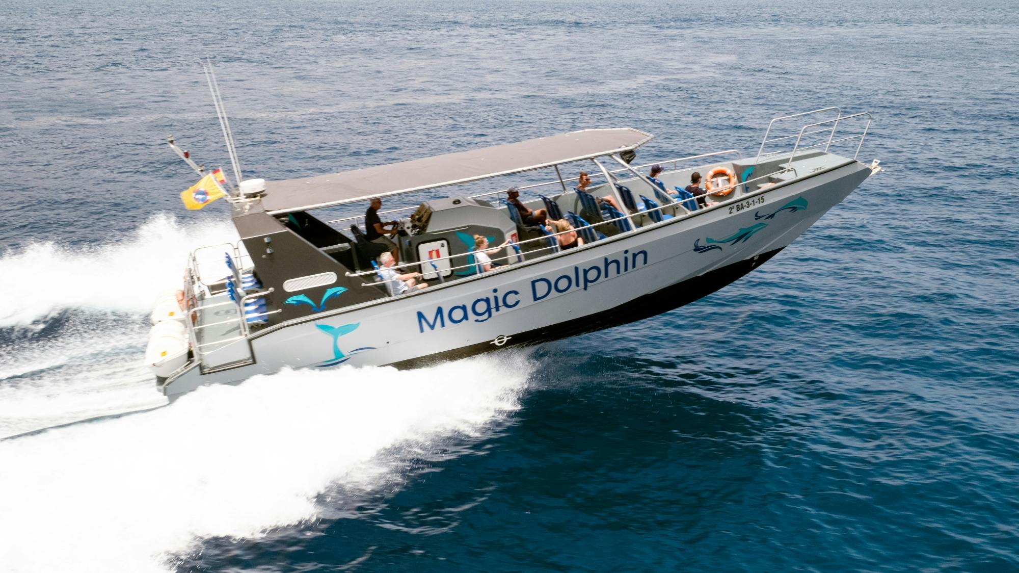 Jandia dolphin-watching cruise