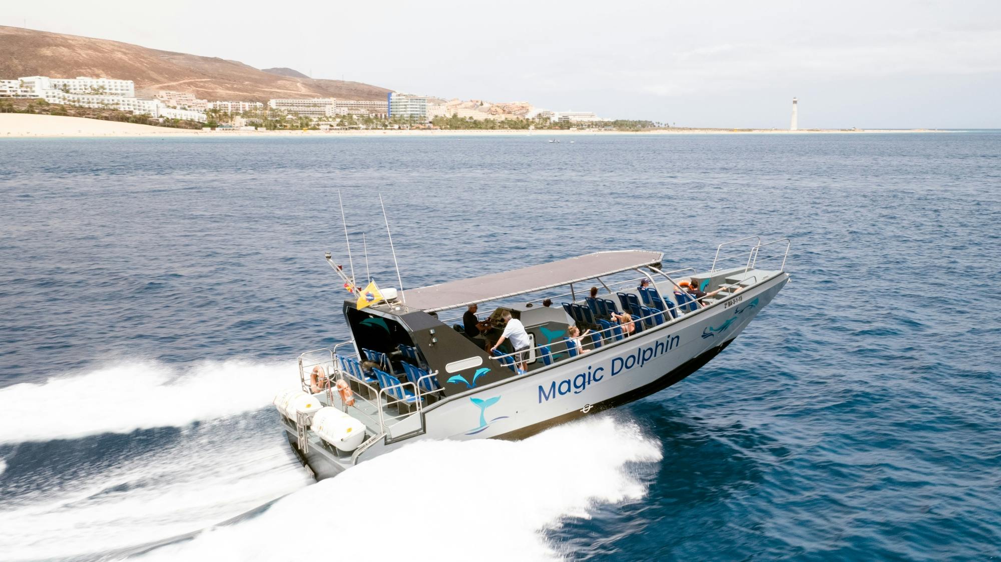 Jandia dolphin-watching cruise