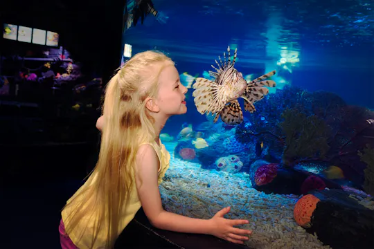 Entrance ticket SEA LIFE Scheveningen