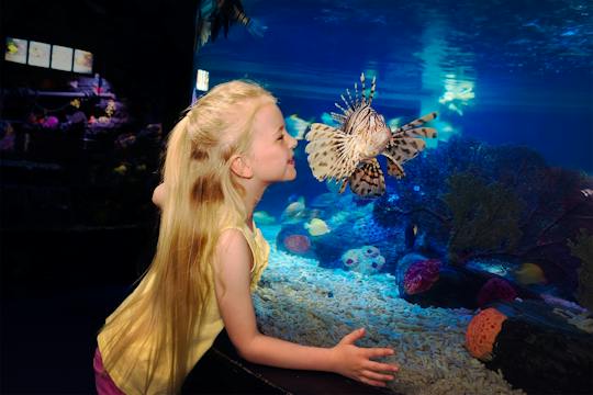 Eintrittskarte für SEA LIFE Scheveningen
