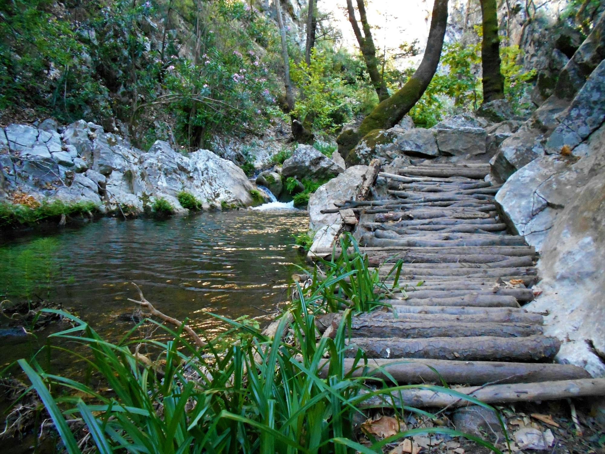 Samos island tour with the Heraion sanctuary and Potami village