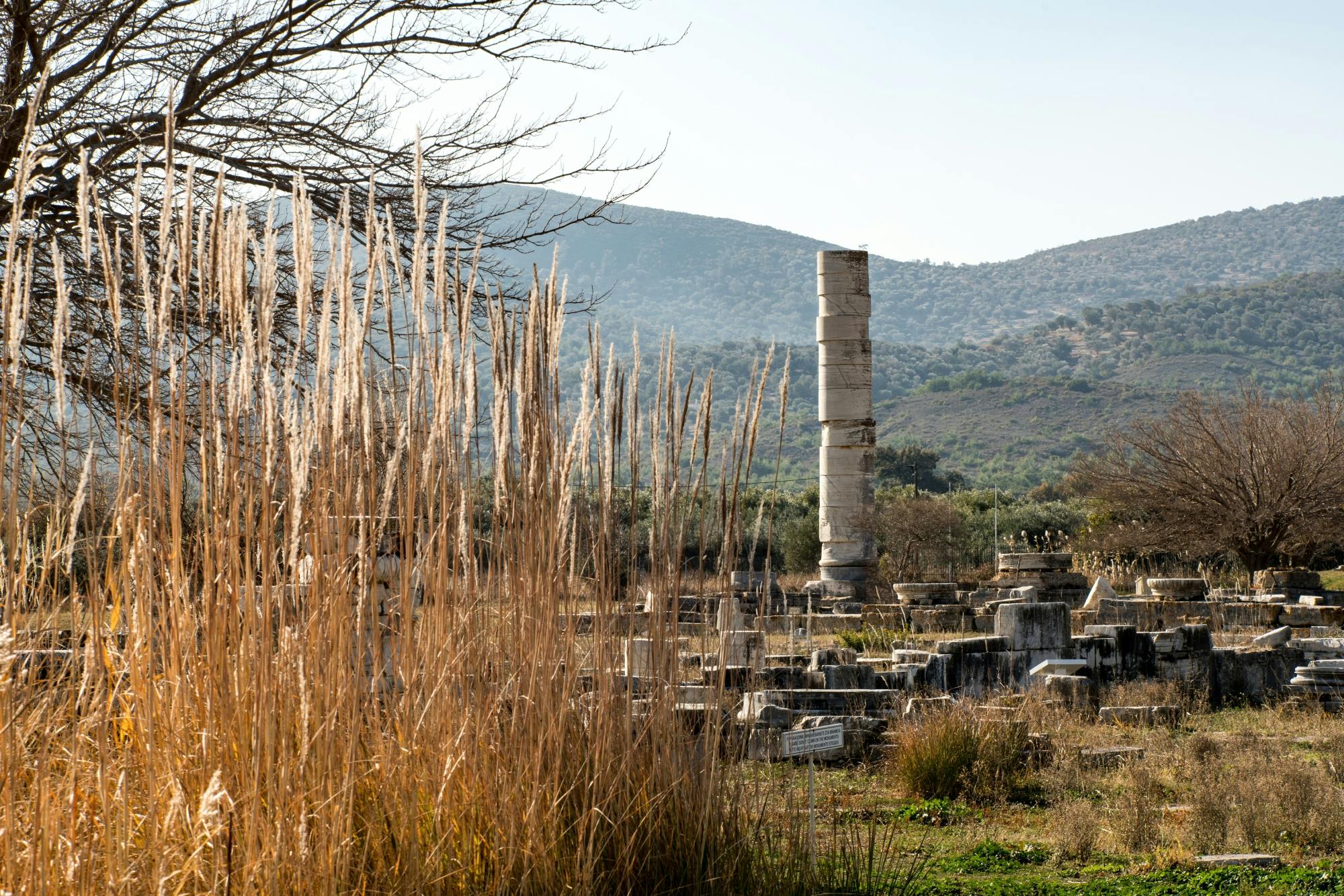 Samos island tour with the Heraion sanctuary and Potami village