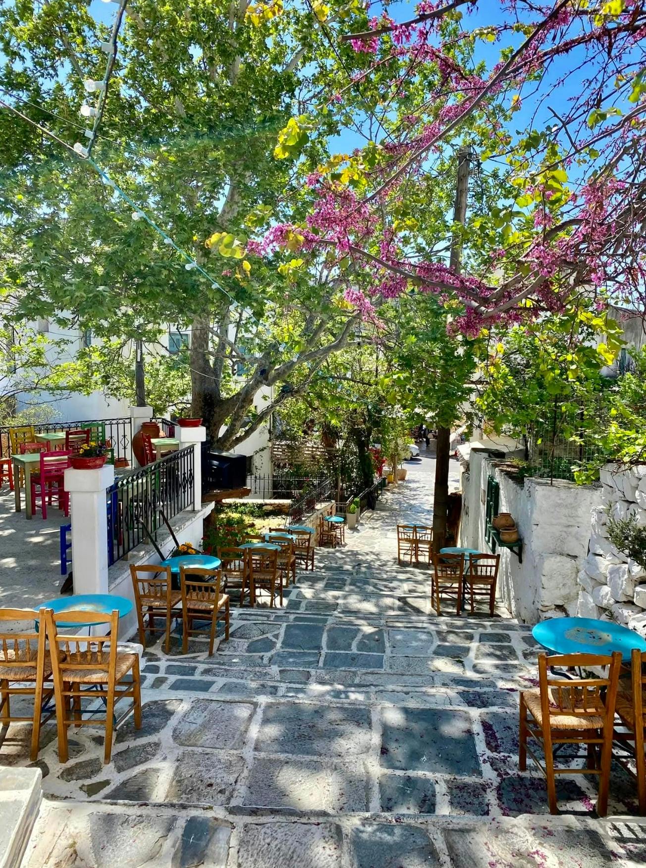 Naxos Island Bus Tour with Damalas and Apiranthos
