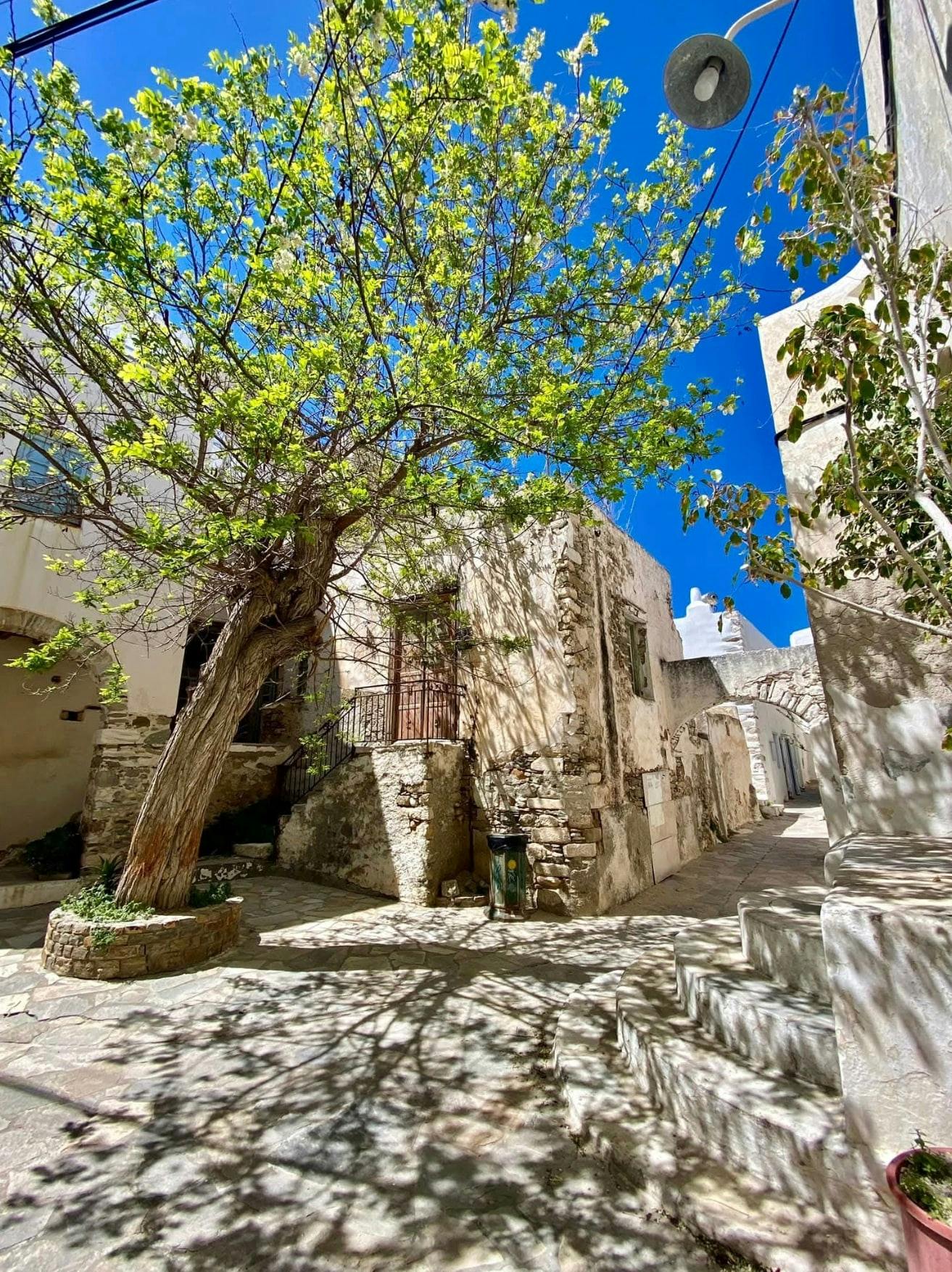 Naxos Island Bus Tour with Damalas and Apiranthos