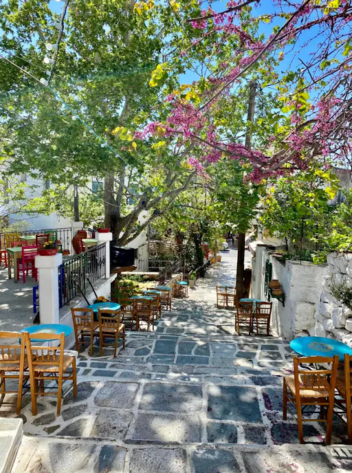 Naxos Island Bus Tour with Damalas and Apiranthos