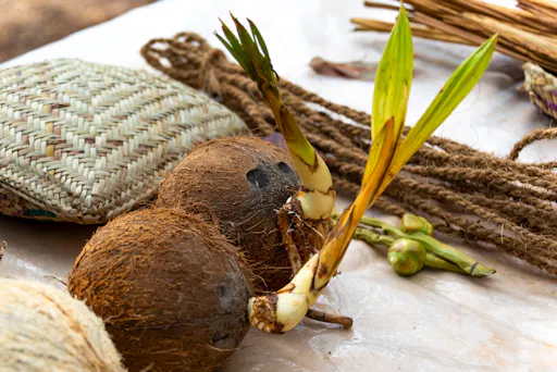 Sri Lankan cooking class with market tour and farm visit